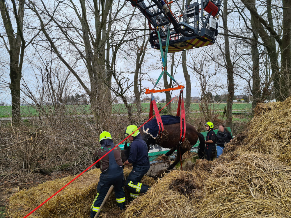 2023 01 01 Jahresbericht 4