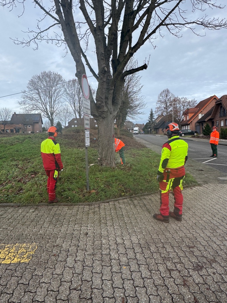 20251202 fortbildungen 2